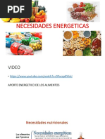 Clase2 - Necesidades Energeticas