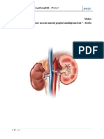 cancers de la prostate wiki prostatite cura antibiotica