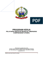 Program Kerja Ponek 2017