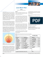 11_185Lowbackpain.pdf