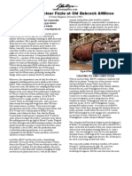 Nuclear Pressure Vessel Delays Slow Industry Transition
