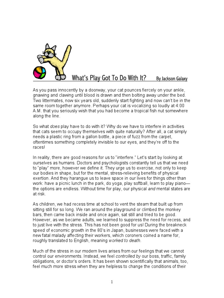 Jackson Galaxy On Playing PDF Cats Aggression