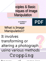 Basic Techniques of Image Manipulation