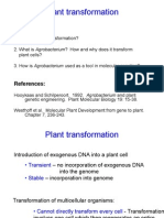 PLT Genetic Eng