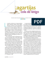 Lagartijas PDF