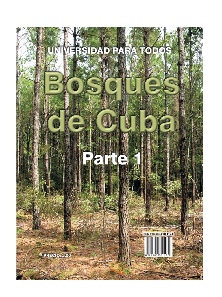Bosques: Definición y Conservación | PDF | Los bosques | Arboles, image size:768x1024