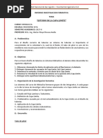 Formato de Rifa Con 1000 Numeros