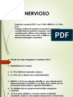 SISTEMA NERVIOSO.pdf