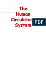 CirculatorySystem.ppsx