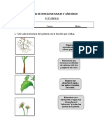 Prueba de Ciencias Naturales 6