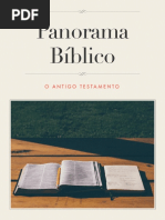 Panorama Biblico.pdf