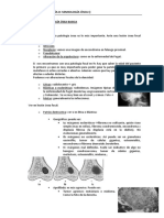 Semiología Ósea Básica