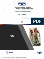 Anatomia 4 PDF