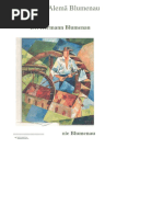 A Colônia Alemã Blumenau