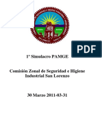 InformeSimulacrodeDerramedeSustancias.pdf