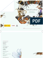 Taller Insectos PDF