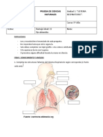 Prueba Cuidados de Nuestro Cuerpo