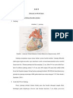 Anatomi Fisiologi Jantung