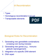 DNA Recombination: - Roles - Types - Homologous Recombination in E.coli - Transposable Elements