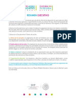 1.-_Resumen_Ejecutivo__2_.pdf