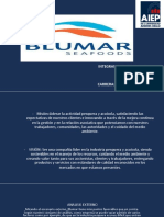 Diapositivas Blumar Corregida
