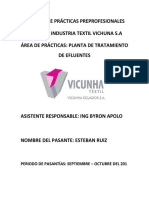 Informe Vichuna .docx