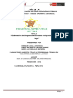 Informe Bloques Nutricionales Revisado