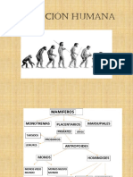 2.- Evolución humana 2014.pptx