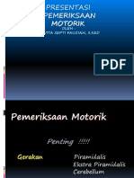 Motorik Examination