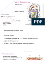 Glomerulonefritis Completo en Orden (1)