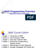 SAP ABAP Programming Overview