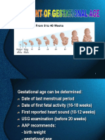 Assesment of Gestational Age - GDS-K3.3