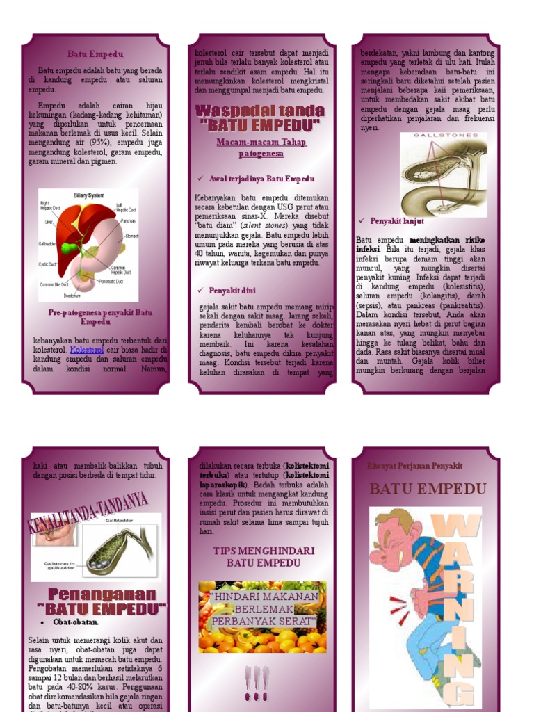 Dokumen Tips Leaflet Batu Empedu Pdf