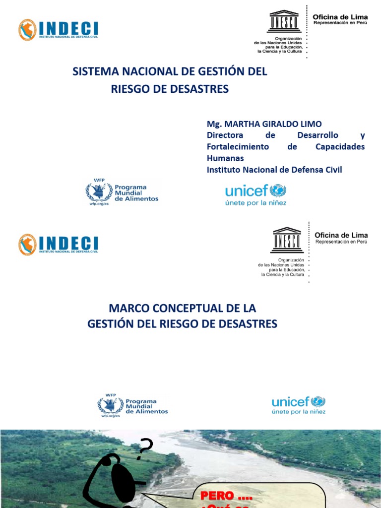 Gestión del Riesgo de Desastres en Panamá | PDF | Vulnerabilidad | Riesgo
