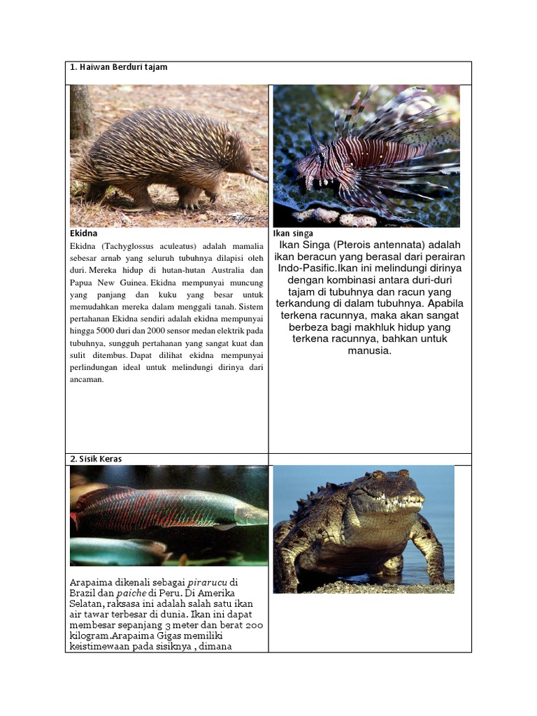 Scrapbook Pengelasan Haiwan Darjah 4 Pdf