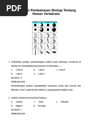 770+ Perhatikan Gambar Dua Hewan Vertebrata Berikut Ini HD Terbaik