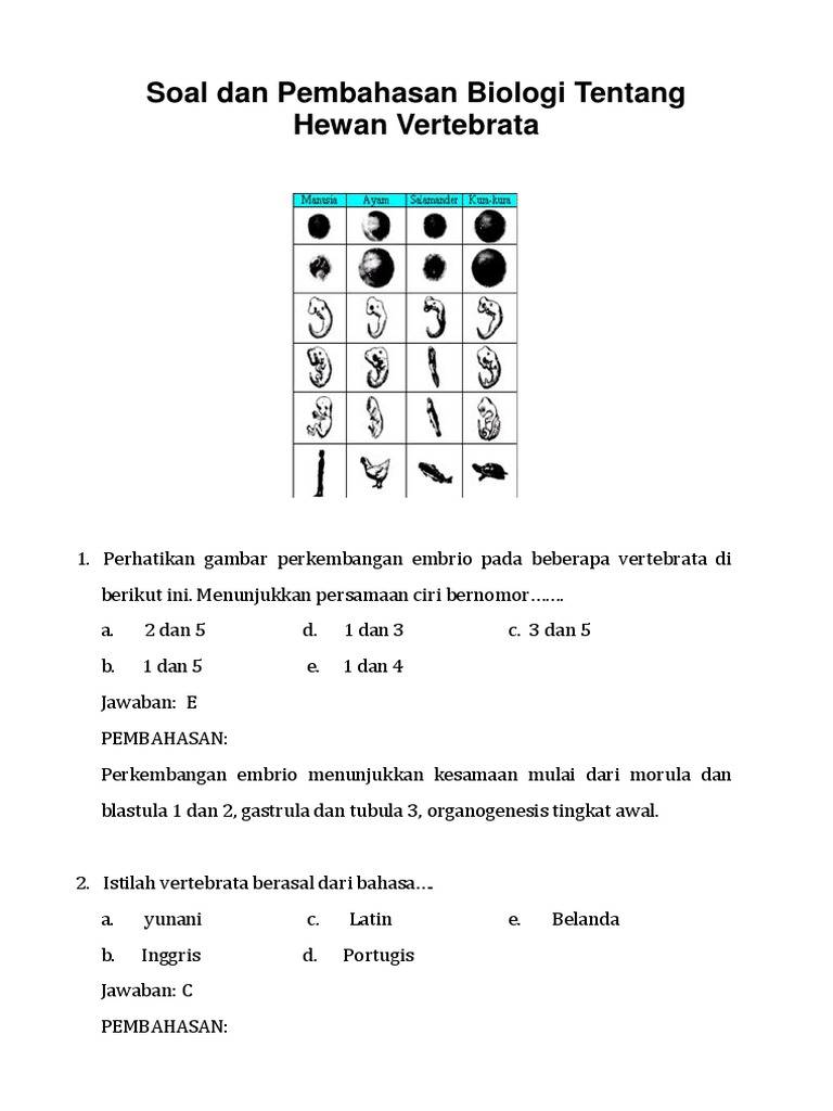 770+ Perhatikan Gambar Dua Hewan Vertebrata Berikut Ini HD Terbaik
