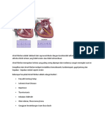 Atrial Fibrilasi