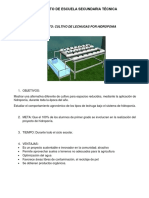 Actividad 8 Pycto Tecs, lechugas por hidroponia