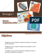 Biol I_T6 Respiración