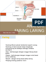 Anatomi Laringofaring