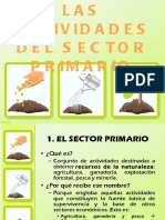 Primarios