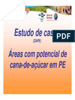 Estudo_de_Caso_Cana_02.pdf