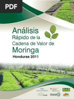 336138265-Analisis-Cadena-de-Valor-Moringa-Honduras.pdf