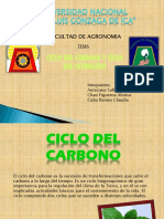 Ciclo Del Carbono y Ciclo de Nitrogeno (1)