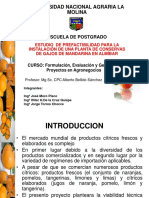 Expo Proyecto Mandarinas Hasta Organizacion