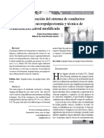 protocolo de irrigacion.pdf