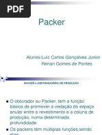 PACKER PERMANENTE.ppt