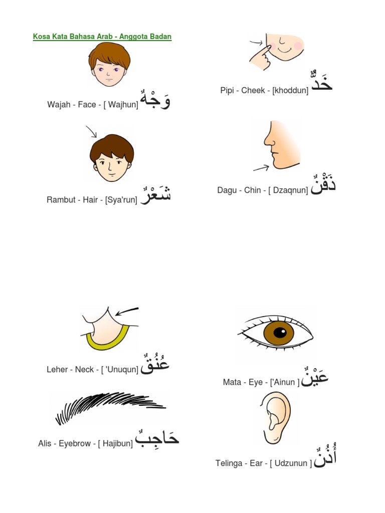 Kosa Kata Bahasa Arab Pdf