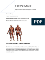 Divisão Do Corpo e Quadrantes Abdominais